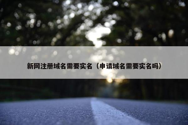 新网注册域名需要实名（申请域名需要实名吗）