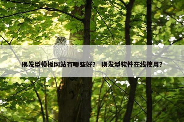换发型模板网站有哪些好？ 换发型软件在线使用？