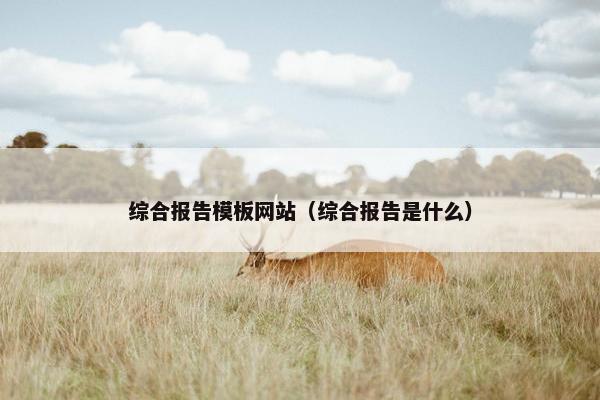 综合报告模板网站（综合报告是什么）