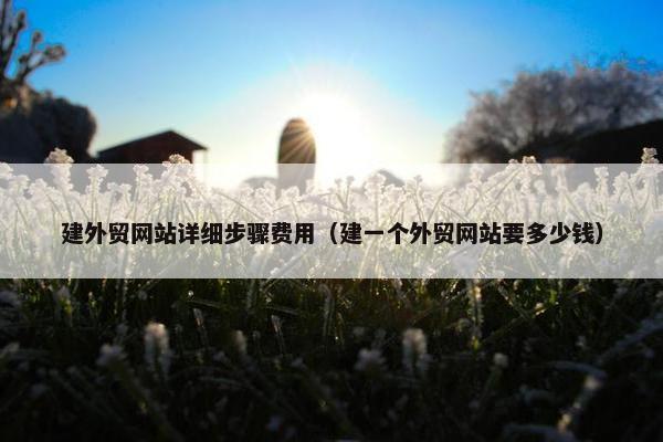 建外贸网站详细步骤费用（建一个外贸网站要多少钱）