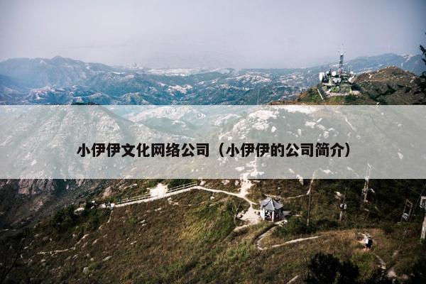 小伊伊文化网络公司（小伊伊的公司简介）
