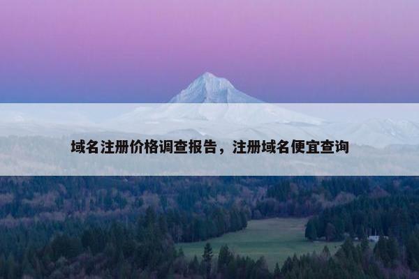 域名注册价格调查报告，注册域名便宜查询