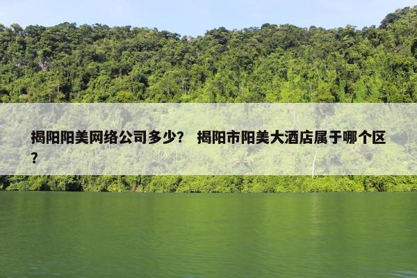 揭阳阳美网络公司多少？ 揭阳市阳美大酒店属于哪个区？
