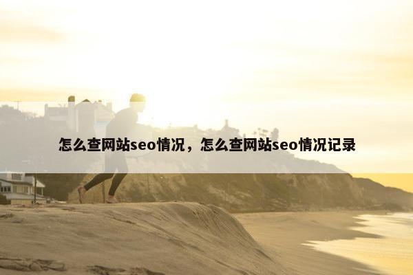 怎么查网站seo情况，怎么查网站seo情况记录