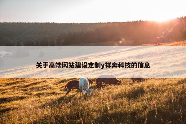 关于高端网站建设定制y祥奔科技的信息