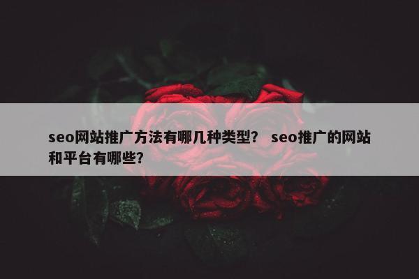 seo网站推广方法有哪几种类型？ seo推广的网站和平台有哪些？