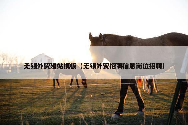 无锡外贸建站模板（无锡外贸招聘信息岗位招聘）