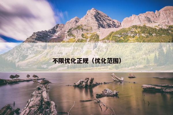 不限优化正规（优化范围）