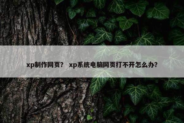 xp制作网页？ xp系统电脑网页打不开怎么办？