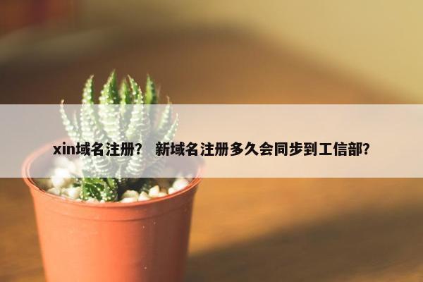 xin域名注册？ 新域名注册多久会同步到工信部？