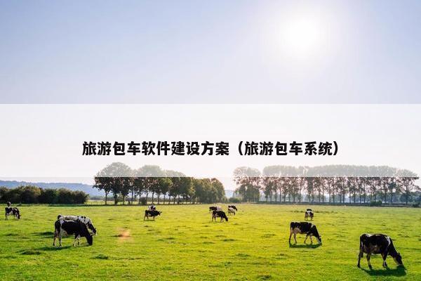 旅游包车软件建设方案（旅游包车系统）