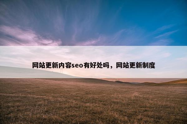 网站更新内容seo有好处吗，网站更新制度