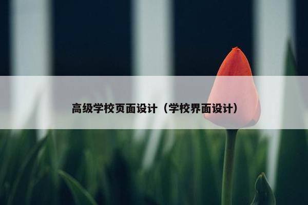 高级学校页面设计（学校界面设计）