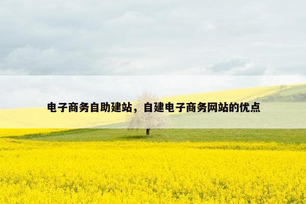 电子商务自助建站，自建电子商务网站的优点