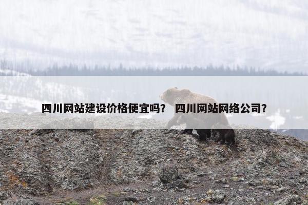 四川网站建设价格便宜吗？ 四川网站网络公司？