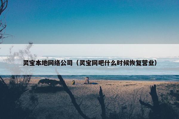 灵宝本地网络公司（灵宝网吧什么时候恢复营业）