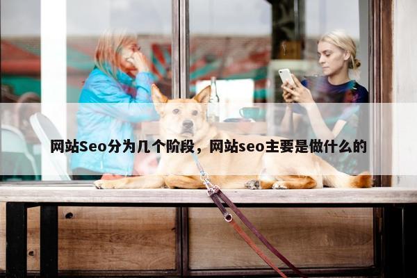 网站Seo分为几个阶段，网站seo主要是做什么的