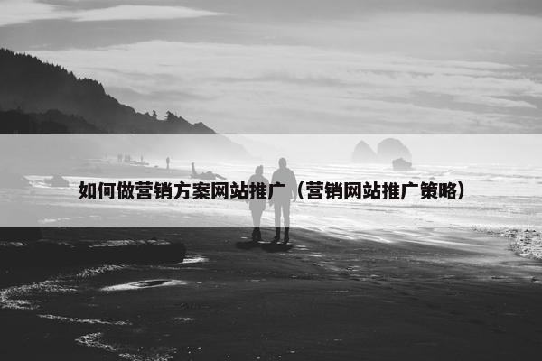 如何做营销方案网站推广（营销网站推广策略）
