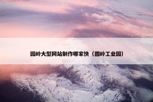 园岭大型网站制作哪家快（圆岭工业园）