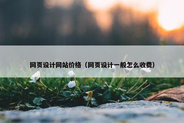 网页设计网站价格（网页设计一般怎么收费）