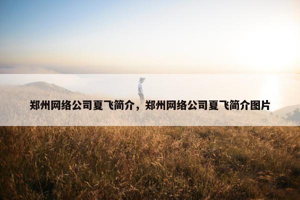 郑州网络公司夏飞简介，郑州网络公司夏飞简介图片