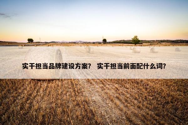 实干担当品牌建设方案？ 实干担当前面配什么词？