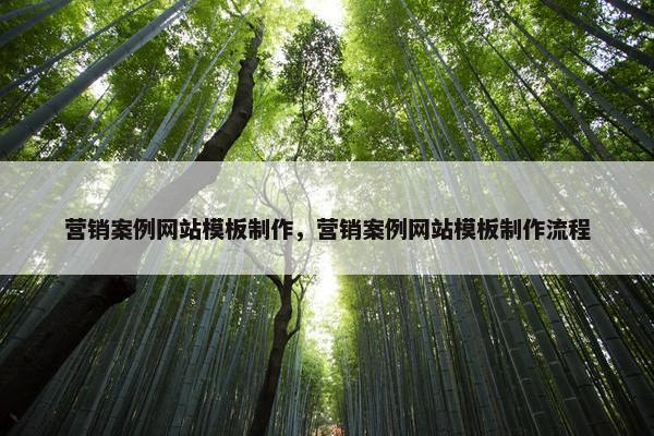 营销案例网站模板制作，营销案例网站模板制作流程
