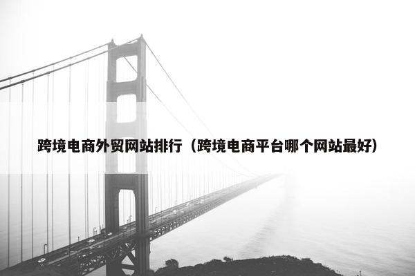 跨境电商外贸网站排行（跨境电商平台哪个网站最好）