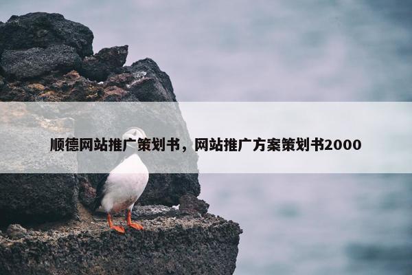 顺德网站推广策划书，网站推广方案策划书2000