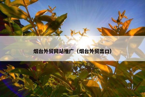 烟台外贸网站推广（烟台外贸出口）