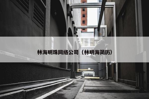 林海明珠网络公司（林明海简历）