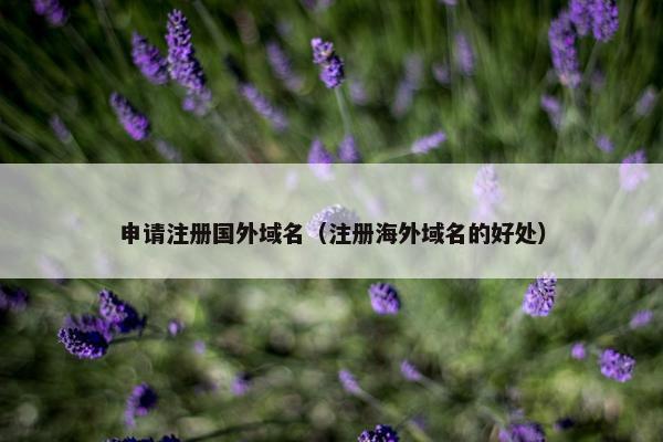 申请注册国外域名（注册海外域名的好处）