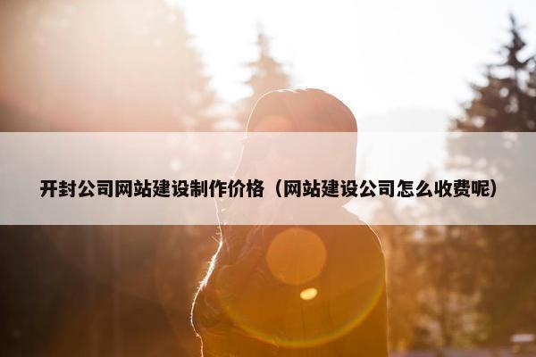 开封公司网站建设制作价格（网站建设公司怎么收费呢）