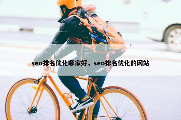 seo排名优化哪家好，seo排名优化的网站