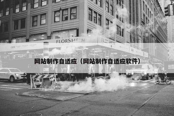 网站制作自适应（网站制作自适应软件）