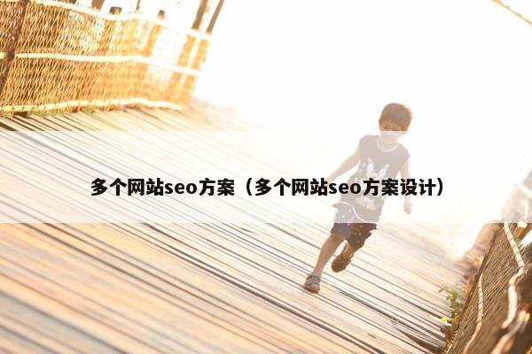 多个网站seo方案（多个网站seo方案设计）
