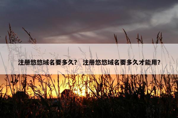 注册悠悠域名要多久？ 注册悠悠域名要多久才能用？
