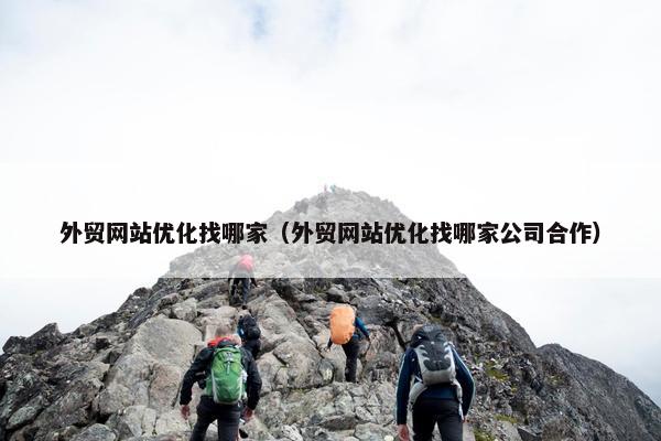 外贸网站优化找哪家（外贸网站优化找哪家公司合作）