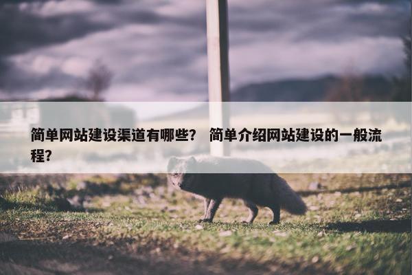 简单网站建设渠道有哪些？ 简单介绍网站建设的一般流程？