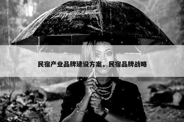 民宿产业品牌建设方案，民宿品牌战略