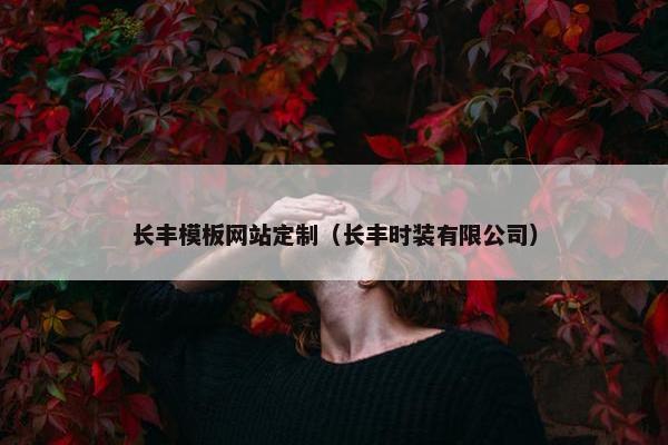 长丰模板网站定制（长丰时装有限公司）