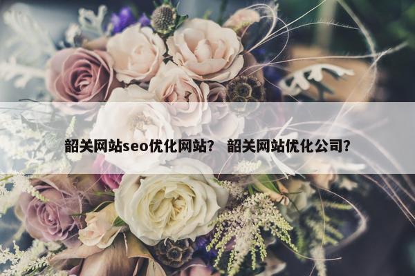 韶关网站seo优化网站？ 韶关网站优化公司？