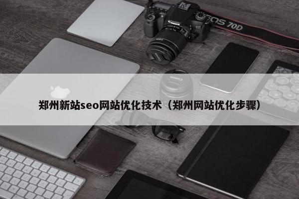 郑州新站seo网站优化技术（郑州网站优化步骤）