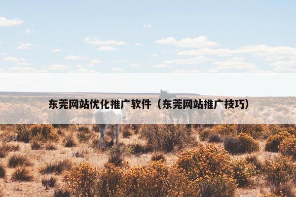东莞网站优化推广软件（东莞网站推广技巧）