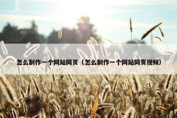 怎么制作一个网站网页（怎么制作一个网站网页视频）