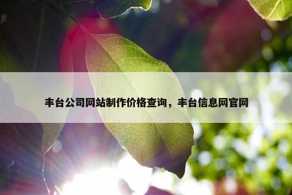丰台公司网站制作价格查询，丰台信息网官网