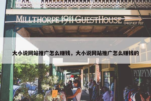 大小说网站推广怎么赚钱，大小说网站推广怎么赚钱的
