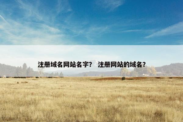 注册域名网站名字？ 注册网站的域名？