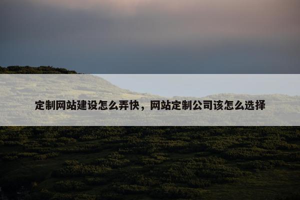 定制网站建设怎么弄快，网站定制公司该怎么选择