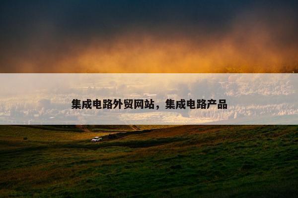 集成电路外贸网站，集成电路产品